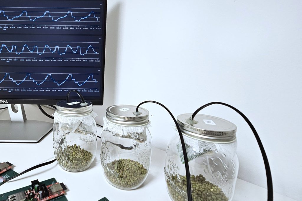 Sniphi - Food Infestation Detection